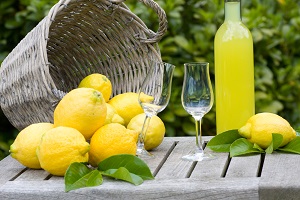 Lemon Tour. Services. Wedding Planner in Amalfi Coast and Puglia. Mr and Mrs Wedding in Italy Lemon Tour. Services. Wedding Planner in Amalfi Coast and Puglia. Mr and Mrs Wedding in Italy